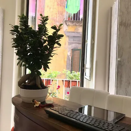 Speranzella 86 Neapol