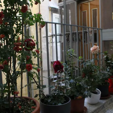 Speranzella 86 게스트하우스