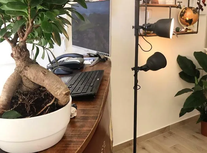 Speranzella 86 게스트하우스